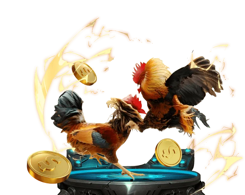 CWIN05 – Đóng góp tích cực cho cộng đồng và phát triển bền vững