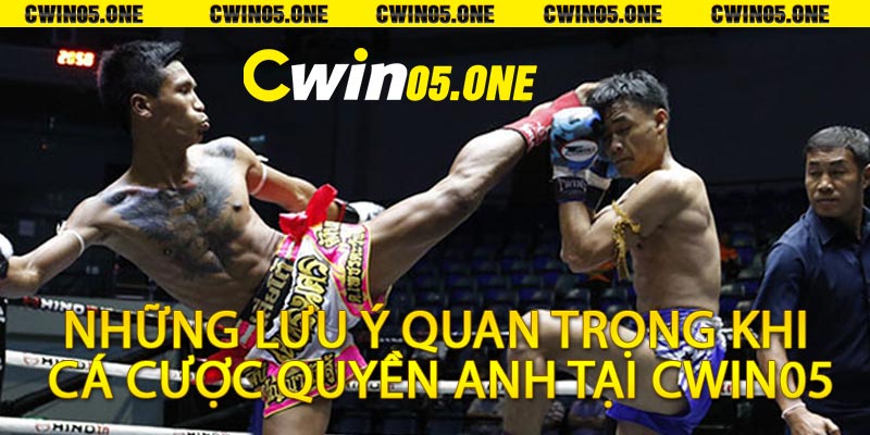 cá cược quyền anh 